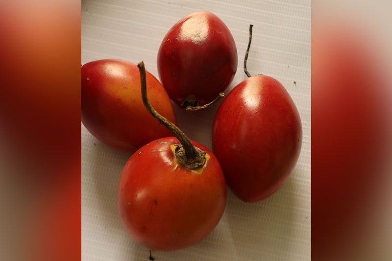 Explainer: What is a Tamarillo? Look for it on your next Baguio trip!