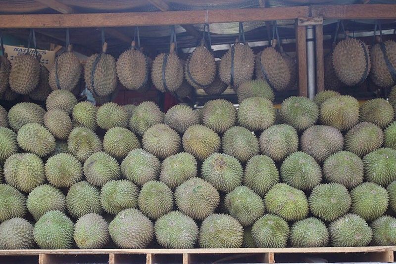 Philippines durian gains entry into Egypt
